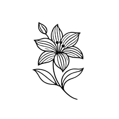 THE ART OF STAY